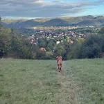 Harz Auszeit, Bergblicke, Ruhig & Besonders -2 Balkone, Jura Kaffeevollautomat, Fuer Gaeste Mit Hund Geeignet Bad Harzburg