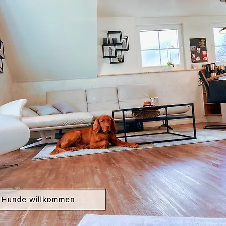 Apartmán Harz Auszeit, Bergblicke, Ruhig & Besonders -2 Balkone, Jura Kaffeevollautomat, Fuer Gaeste Mit Hund Geeignet *