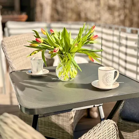 Harz Auszeit, Bergblicke, Ruhig & Besonders -2 Balkone, Jura Kaffeevollautomat, Fuer Gaeste Mit Hund Geeignet Bad Harzburg