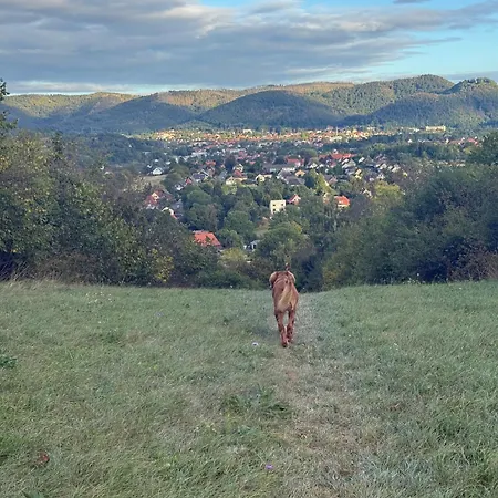 Harz Auszeit, Bergblicke, Ruhig & Besonders -2 Balkone, Jura Kaffeevollautomat, Fuer Gaeste Mit Hund Geeignet Bad Harzburg