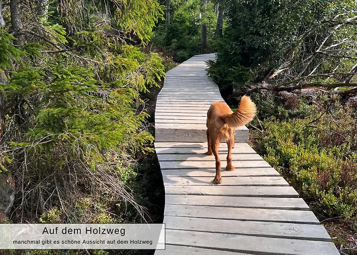 Διαμέρισμα Harz Auszeit, Bergblicke, Ruhig & Besonders -2 Balkone, Jura Kaffeevollautomat, Fuer Gaeste Mit Hund Geeignet Bad Harzburg