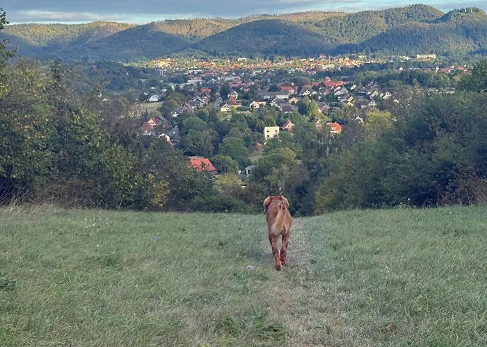 Harz Auszeit, Bergblicke, Ruhig & Besonders -2 Balkone, Jura Kaffeevollautomat, Fuer Gaeste Mit Hund Geeignet Bad Harzburg